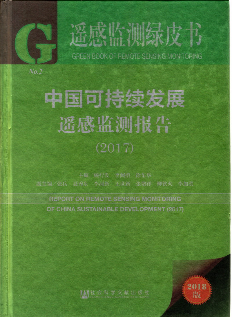 啊啊啊淫荡了污在线观看中国可持续发展遥感检测报告（2017）